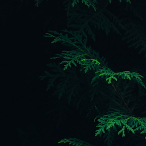 Handy-Hintergrundbilder