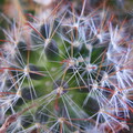 IMG 0925