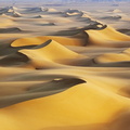 desert