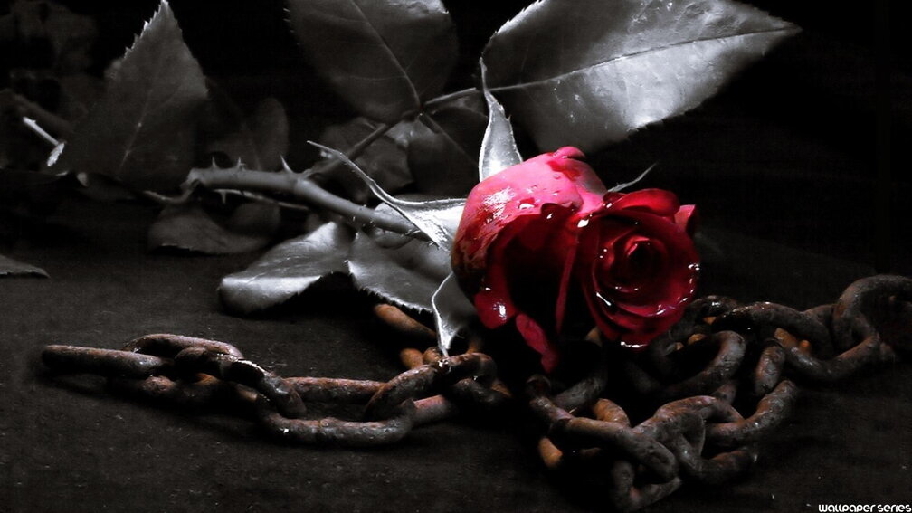 Gothic-Metal-Red-Flower-Wallpaper.jpg