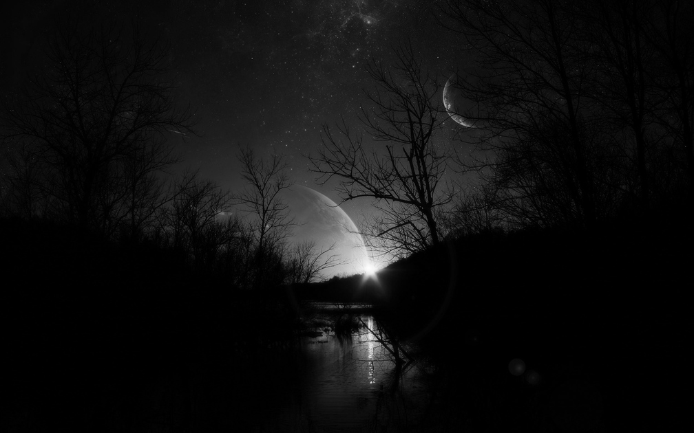 dark_trees.jpg