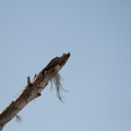 IMG 7613
