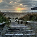 new zealand