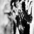 IMG 7976